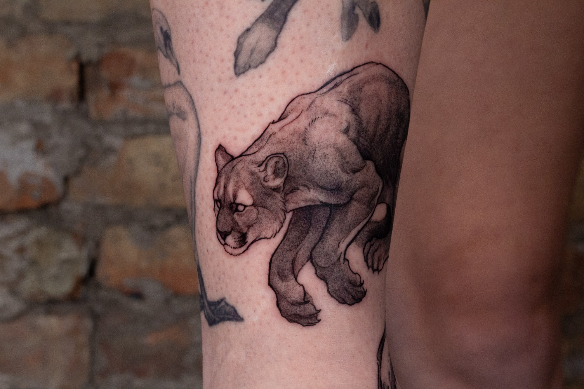 Luke — IMG 8927
