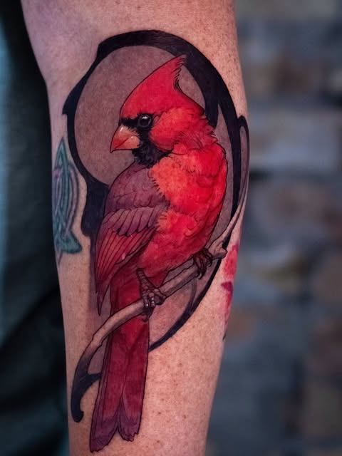 Red cardinal tattoo framed by curved black shapes on an arm.
