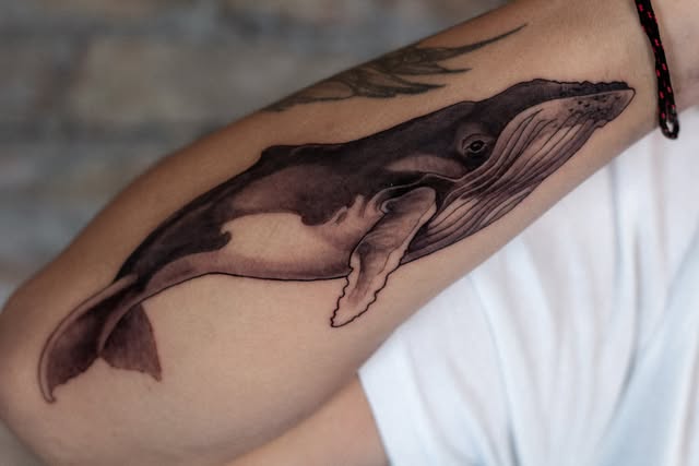 Black and grey whale tattoo along an arm.