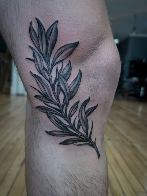 Black and grey leafy branch tattoo on a forearm.